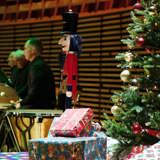 FAMILIENS JULEKONSERT: NØTTEKNEKKEREN 