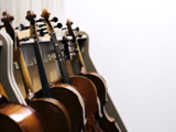 Cello
