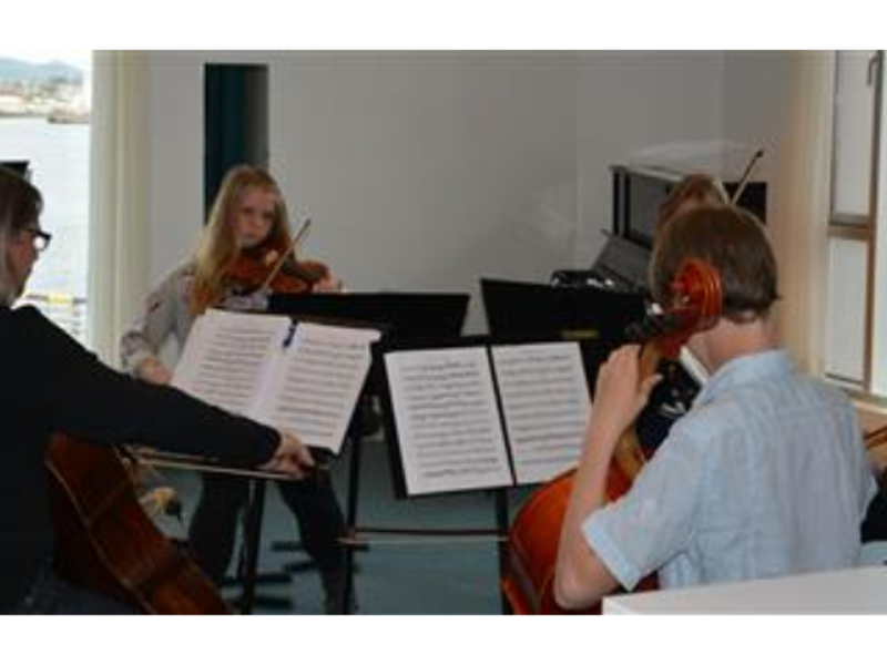 Kammermusikk fordypning- stryk Kammermusikk fordypning- stryk